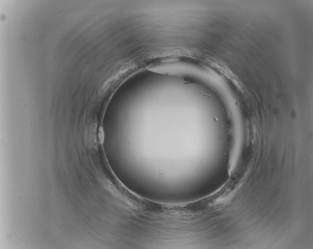 X0000073730585200608101932