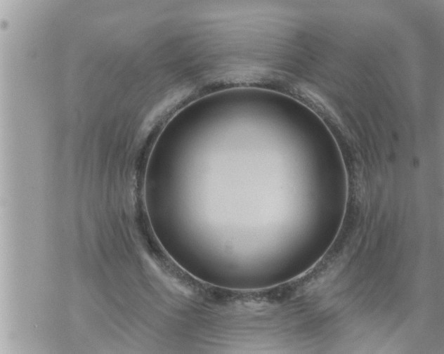 X0000073730586200608101932