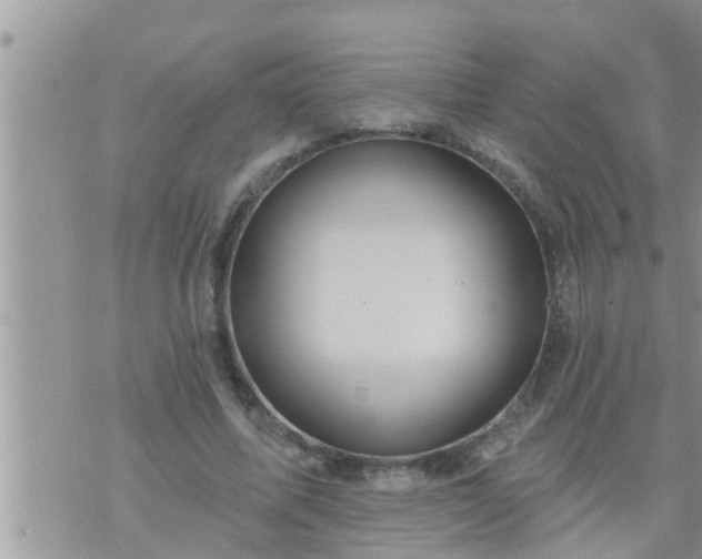 X0000073730587200608101932