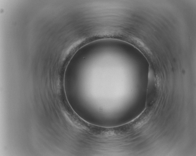 X0000073730588200608101932