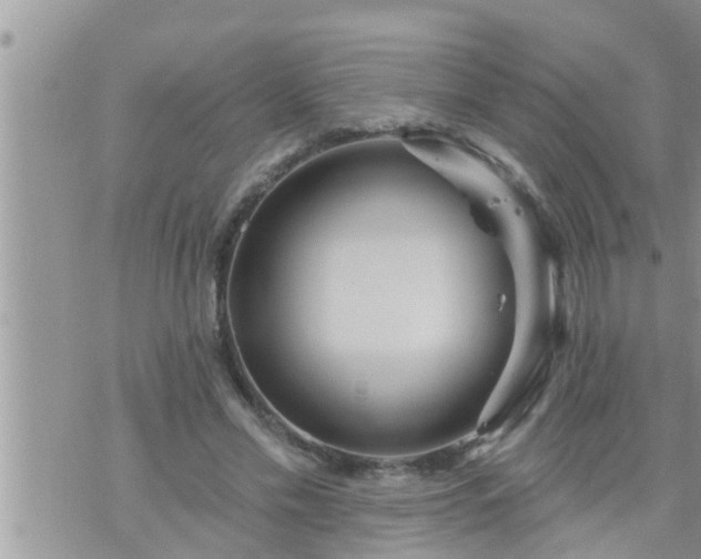 X0000073730589200608101932