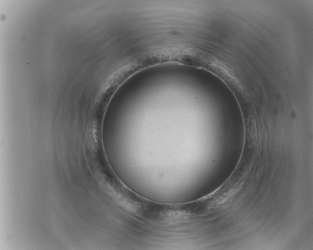 X0000073730590200608101932