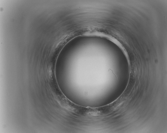 X0000073730595200608101932