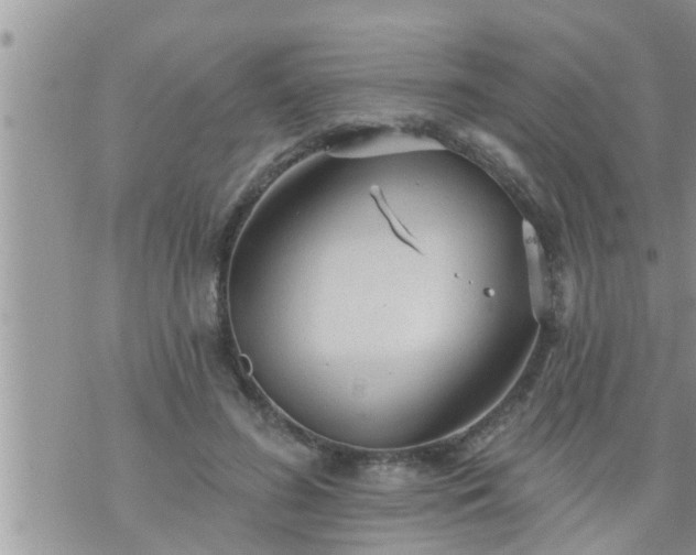 X0000073730596200608101932