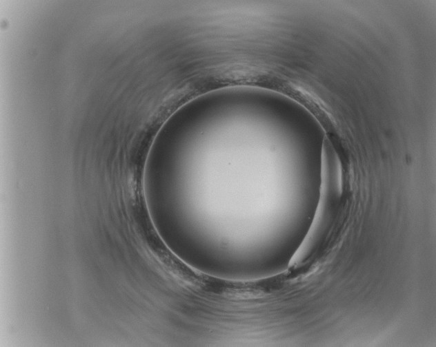 X0000073730597200608101932