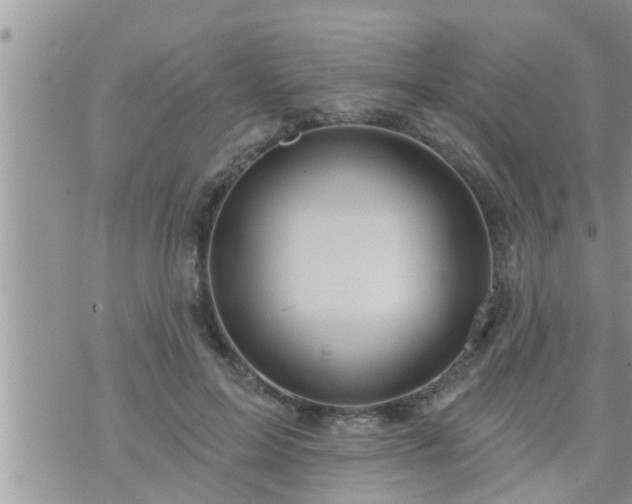 X0000073730599200608101932