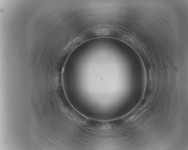 X0000073730600200608101932