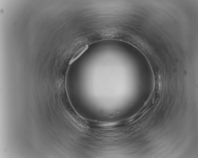 X0000073730601200608101932