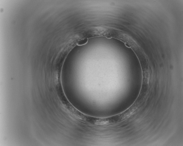 X0000073730602200608101932