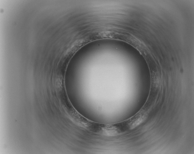 X0000073730603200608101932