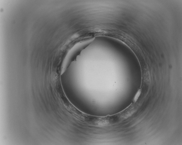 X0000073730604200608101931