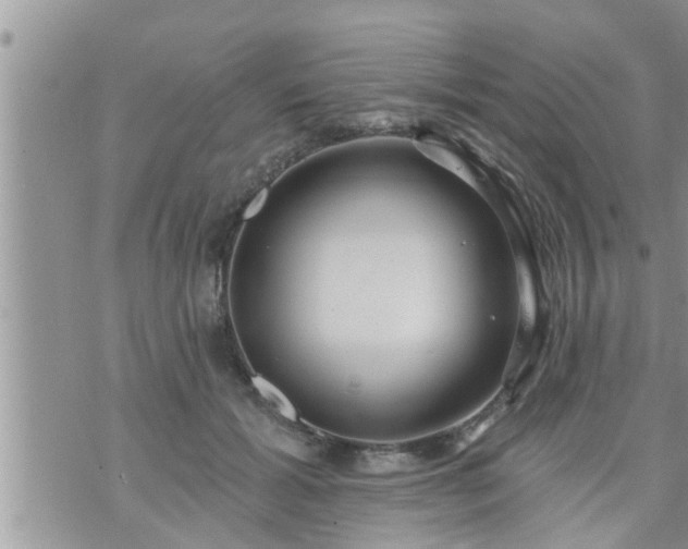 X0000073730605200608101931