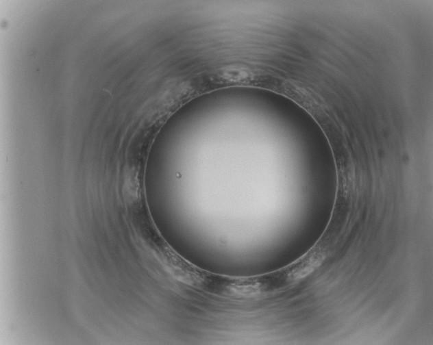 X0000073730606200608101931