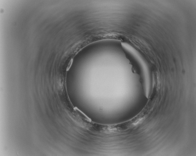 X0000073730607200608101931