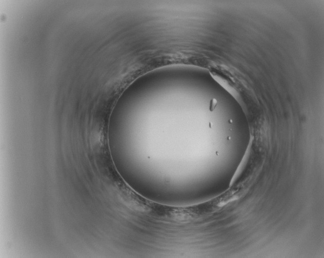 X0000073730608200608101931