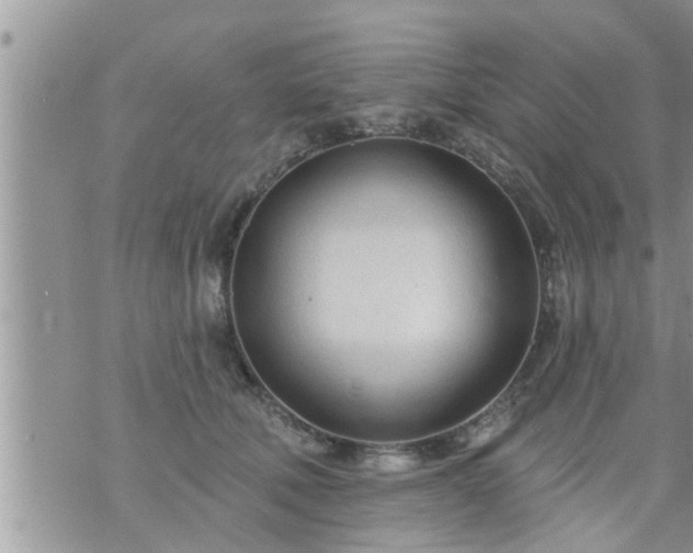 X0000073730610200608101931