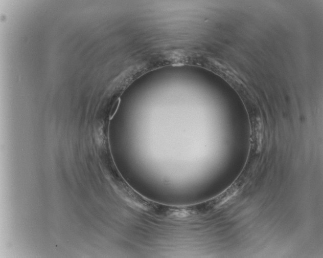 X0000073730611200608101931