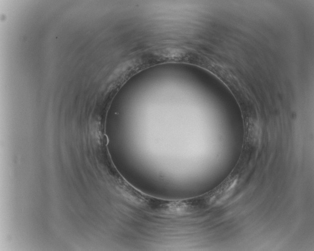 X0000073730612200608101931