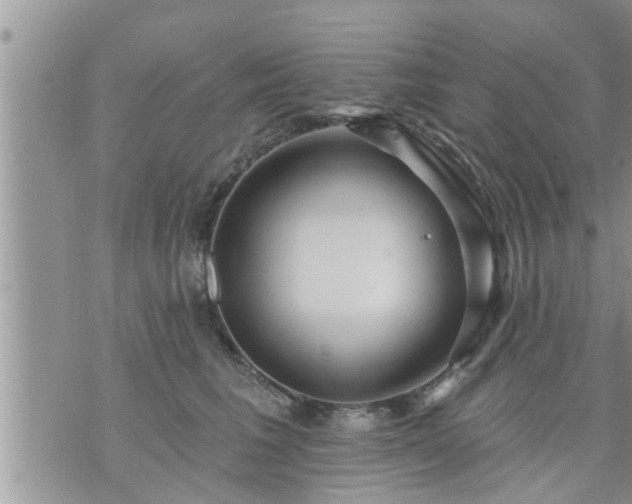 X0000073730613200608101931