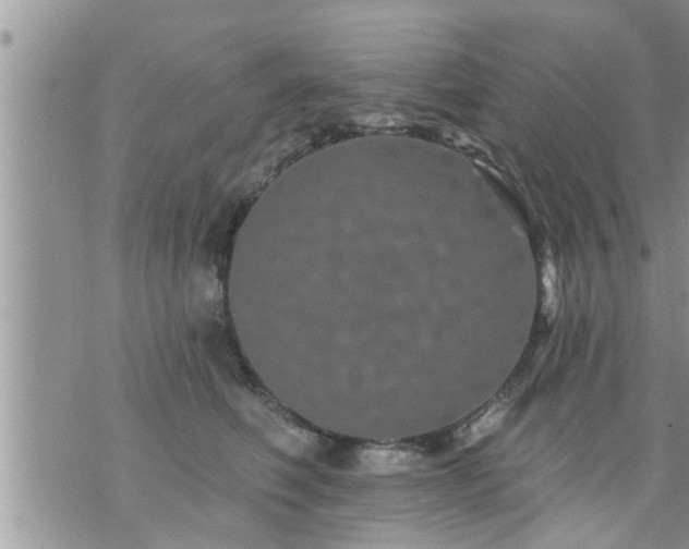 X0000073730614200608101931