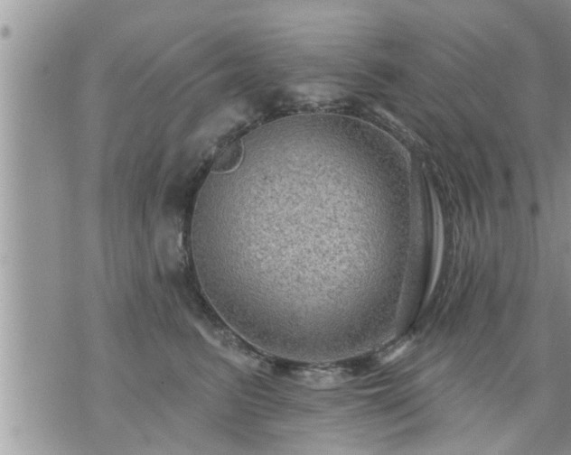 X0000073730615200608101931