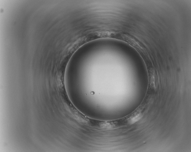 X0000073730616200608101931