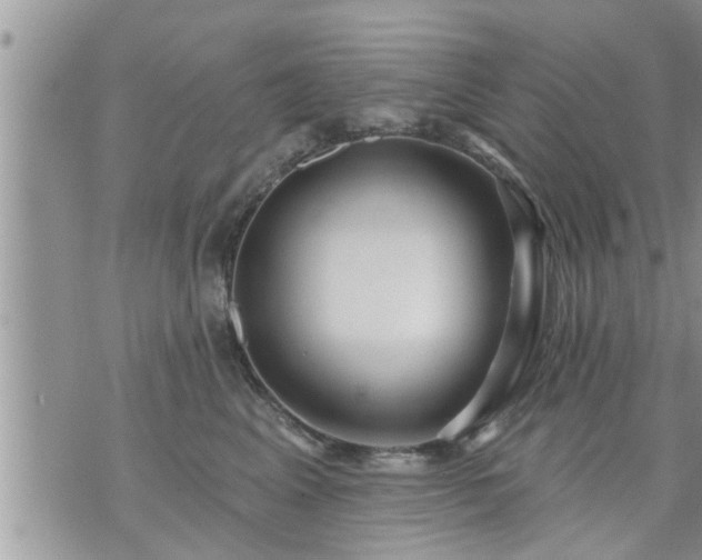 X0000073730617200608101931