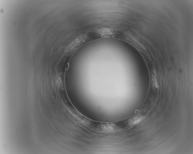 X0000073730618200608101931