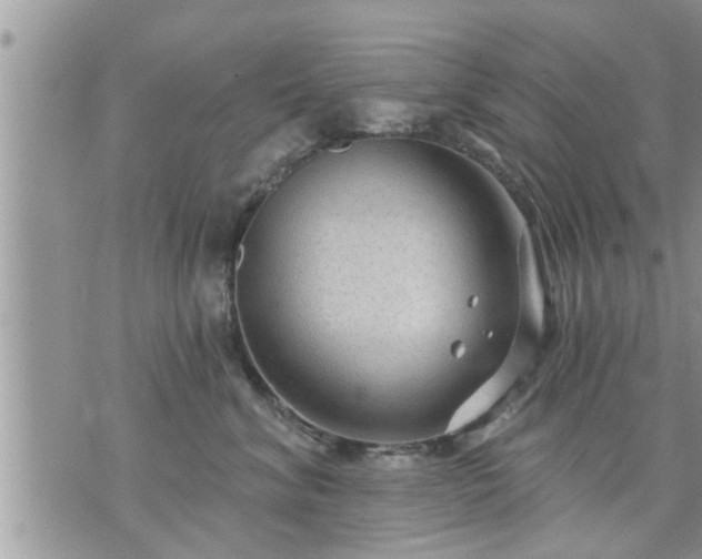 X0000073730620200608101931