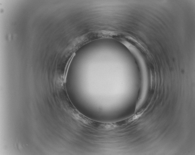 X0000073730621200608101931