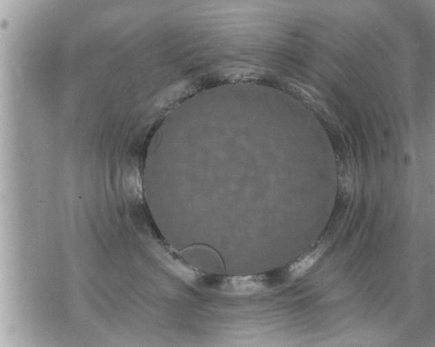 X0000073730622200608101931