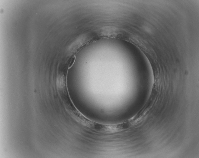 X0000073730623200608101931