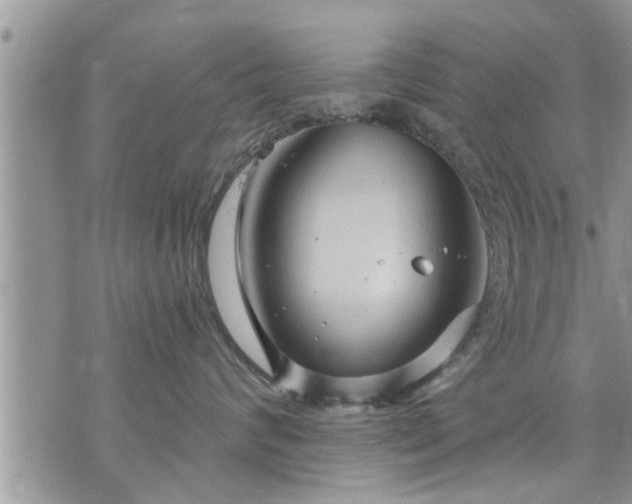 X0000073730624200608101931