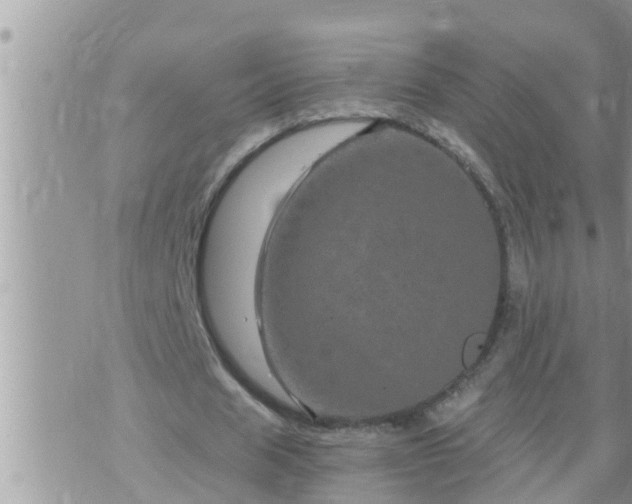 X0000073730625200608101930