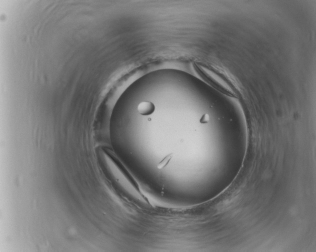 X0000073730626200608101930