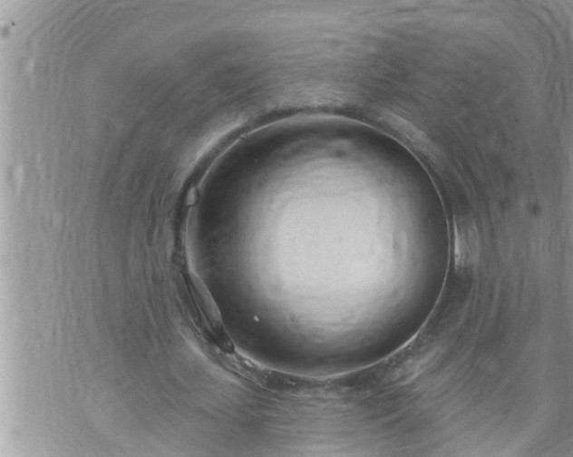 X0000073730627200608101930