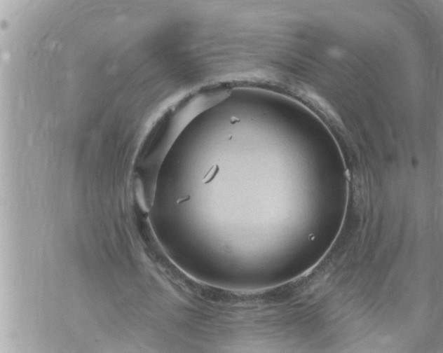 X0000073730628200608101930