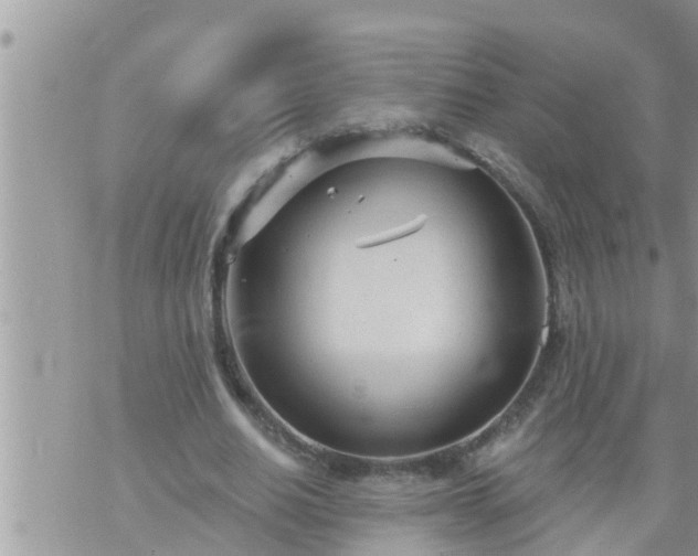 X0000073730630200608101930