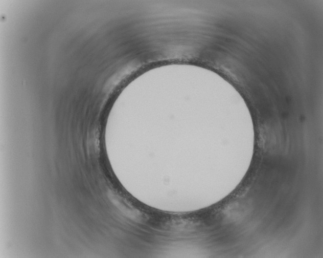 X0000073730632200608101931