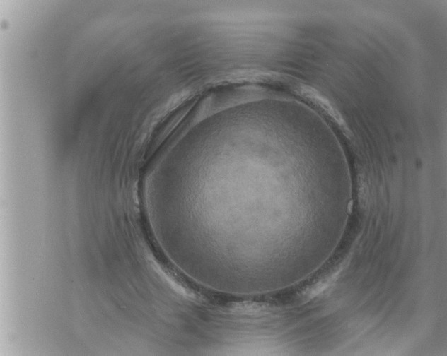 X0000073730633200608101931