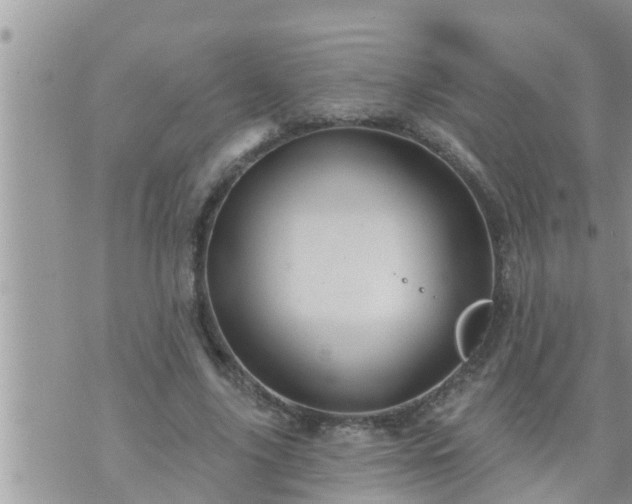 X0000073730635200608101931