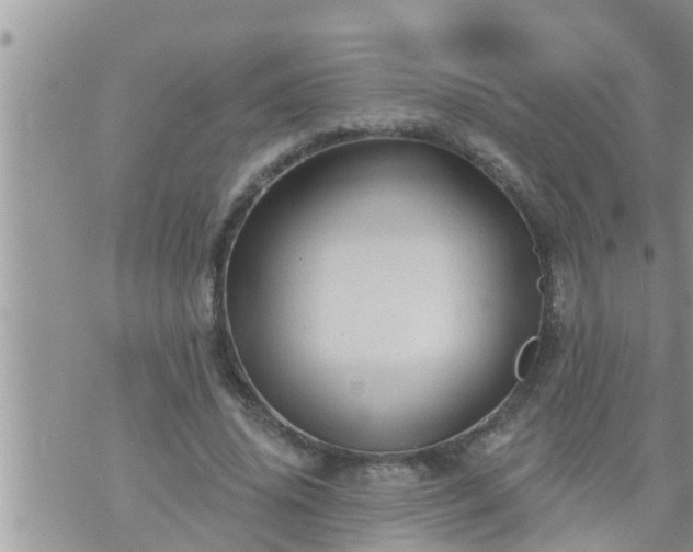 X0000073730636200608101931