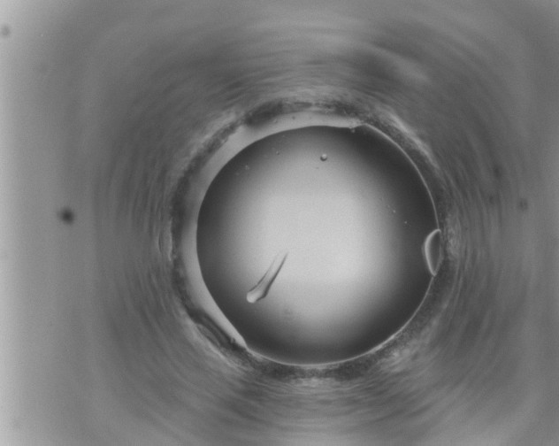 X0000073730637200608101931