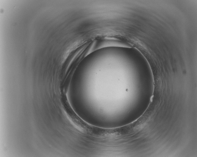 X0000073730638200608101931