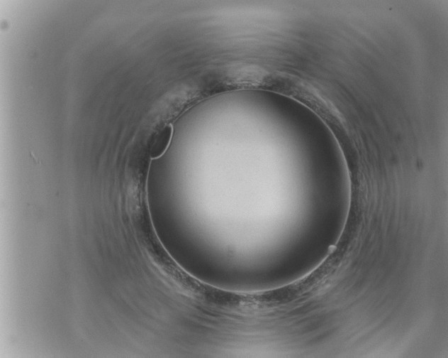 X0000073730641200608101931