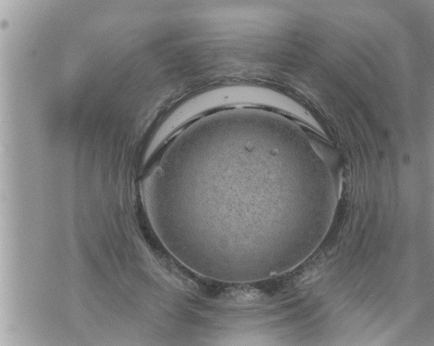 X0000073730642200608101931