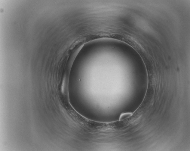 X0000073730643200608101931