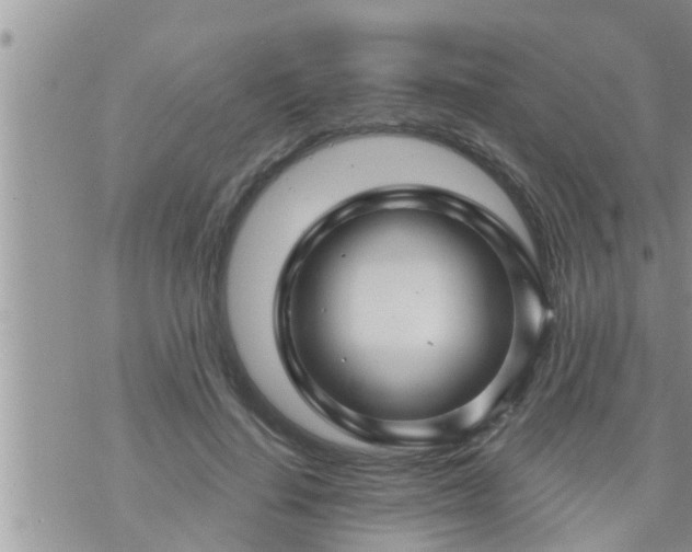 X0000073730644200608101931