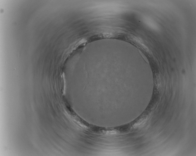 X0000073730645200608101931