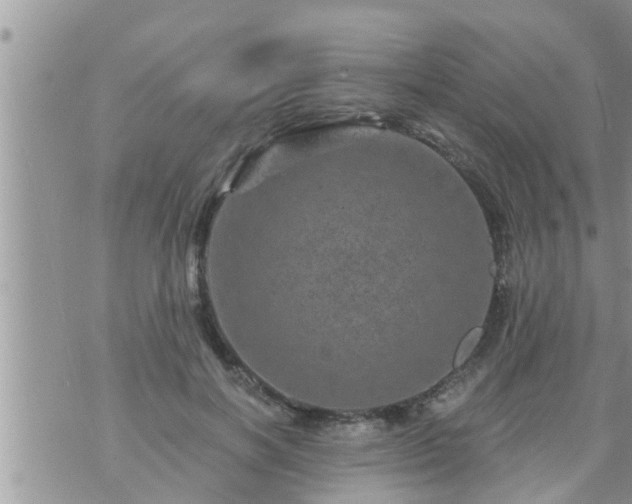 X0000073730646200608101931